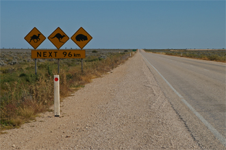 The Nullarbor, SA