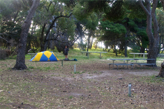 Allison Camp Ground, Rottenest Island